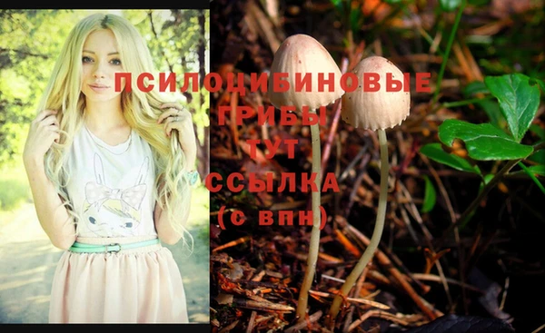 спиды Армянск