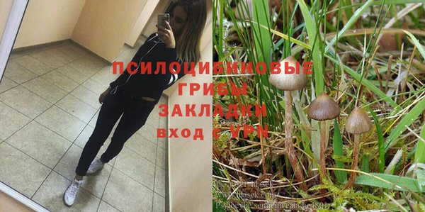 трава Арсеньев