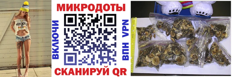 что такое   Кандалакша  Псилоцибиновые грибы ЛСД 